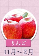 りんご 11～2月