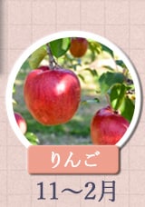 りんご　11月～2月