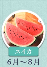 スイカ 6月～8月