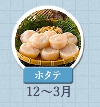 ホタテ 12月〜3月
