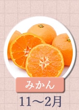 みかん 11月～2月