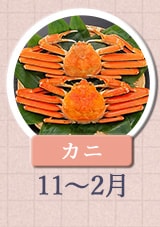 カニ 11月～2月