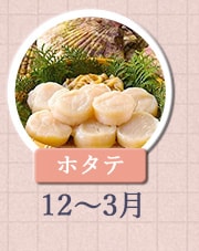 ホタテ 12月～3月