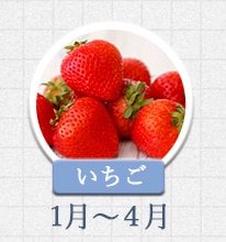 いちご 1月～4月