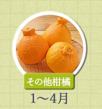 その他柑橘　1月～4月