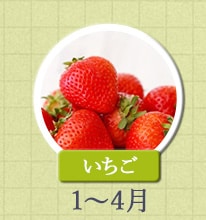 いちご 1月～4月