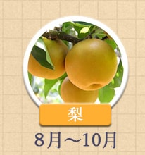 梨 8月～10月