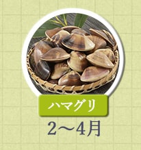 ハマグリ 2月～4月