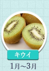 キウイ 1～3月