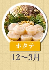 ホタテ 12月～3月