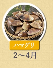 ハマグリ 2月～4月