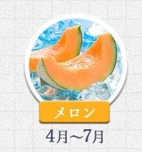 メロン 4月～7月
