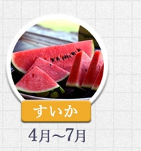 すいか 4月～7月