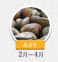 あさり 2月～4月