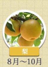 梨　8月〜10月