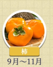 柿　9月〜11月