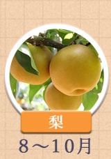 梨 8月〜10月
