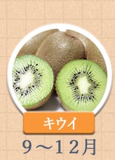 キウイ 9月〜12月