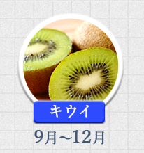 キウイ 9月～12月