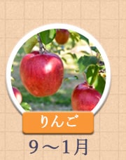 りんご　9月〜1月