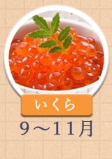 いくら 9月〜11月