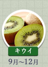 キウイ 9月～12月