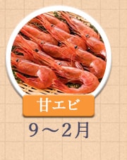甘エビ 9月〜2月