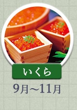 いくら 9月～11月