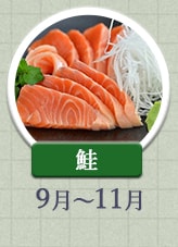 鮭 9月～11月