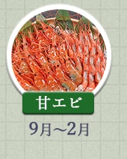 甘エビ 9月～2月