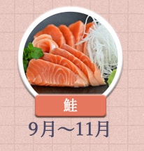 鮭 9月〜11月