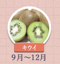 キウイ　9月〜12月