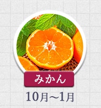 みかん 10月～1月