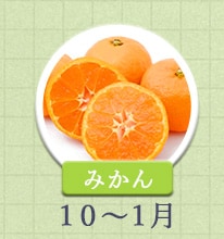 みかん 10月〜1月