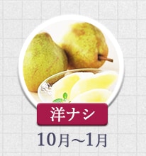 洋ナシ 10月～1月