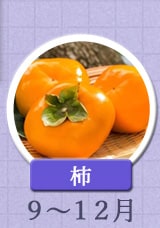 柿　9月〜12月