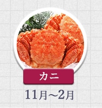 カニ 11月～12月