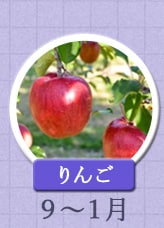 りんご 9月〜1月