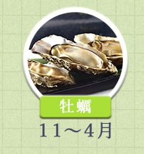 牡蛎 11月〜4月