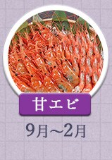 甘エビ 9月～2月