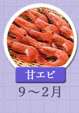 甘エビ 9月〜2月