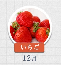 いちご 12月