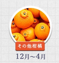 その他柑橘 12月～4月