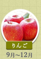 りんご 9～12月