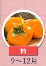 柿　9月〜12月