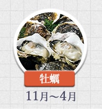 牡蠣 11月～4月