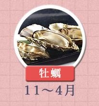 牡蠣 11月〜4月