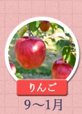 りんご 9月〜1月