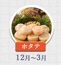 ホタテ 12月～3月