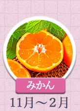 みかん 11月～2月